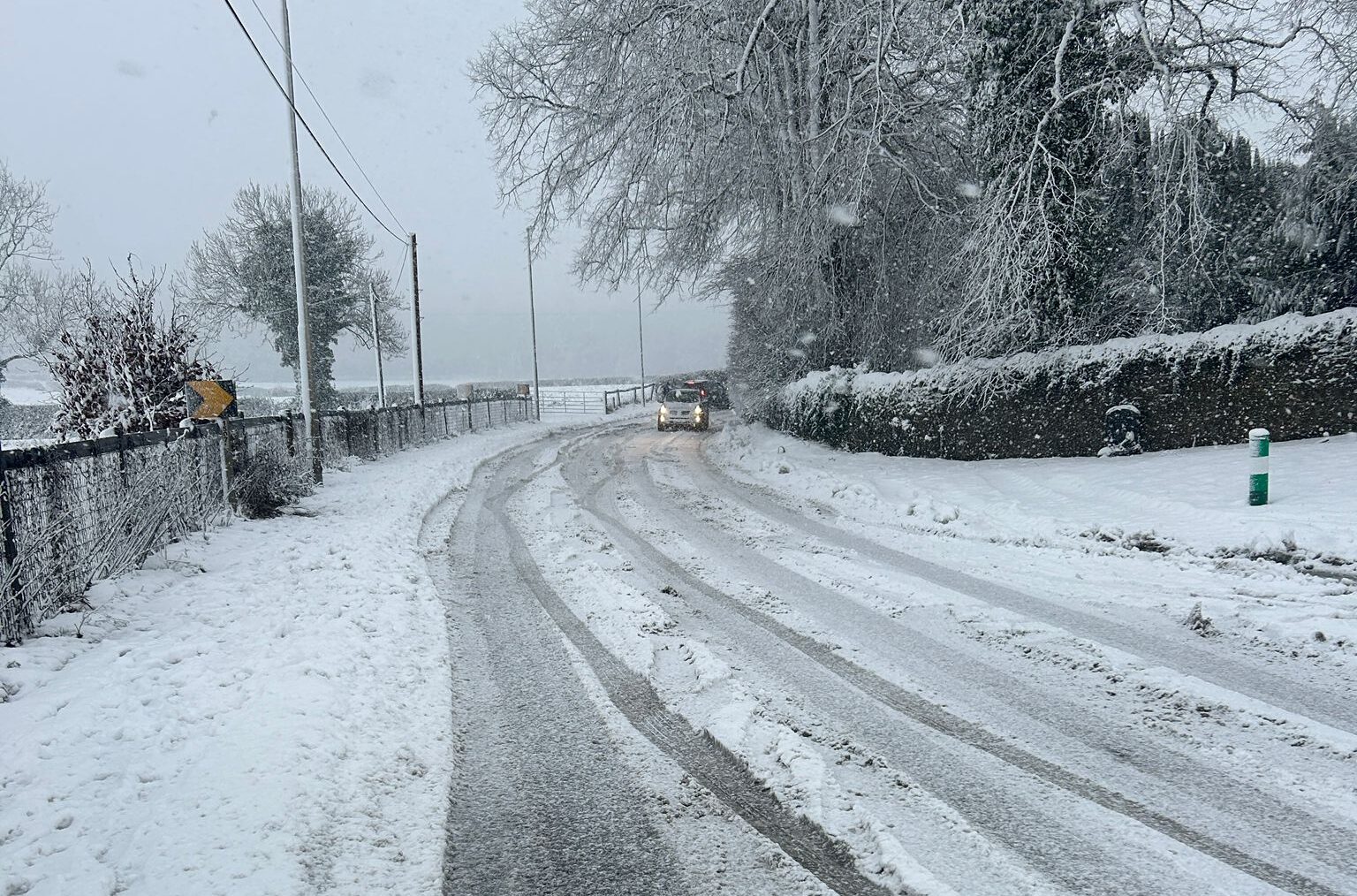 Snow in Laois 2025